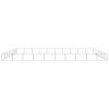 Dog Kennel Silver 753.5 ft² Steel